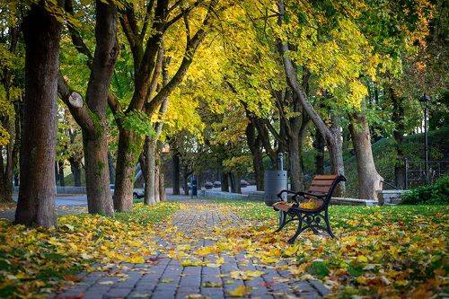 Осень в Темном саду. Нарва.