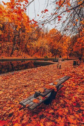 В осеннем парке тишина...