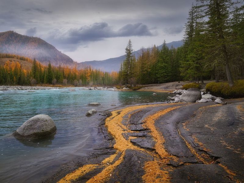 Хвойными дорожками фото превью
