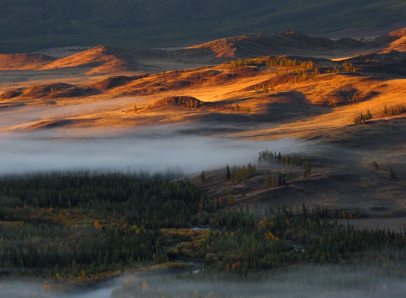 Над степью фото превью