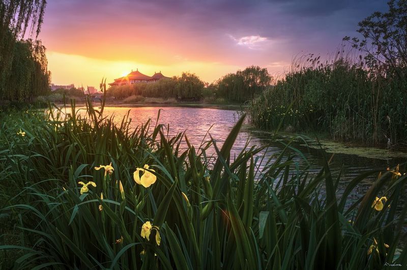 我的作品 фото превью