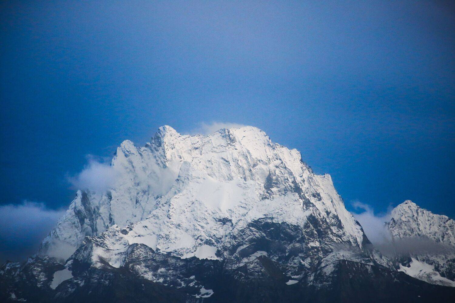 , Светлана Москвина