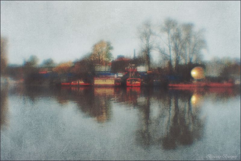 Среда обитания фото превью