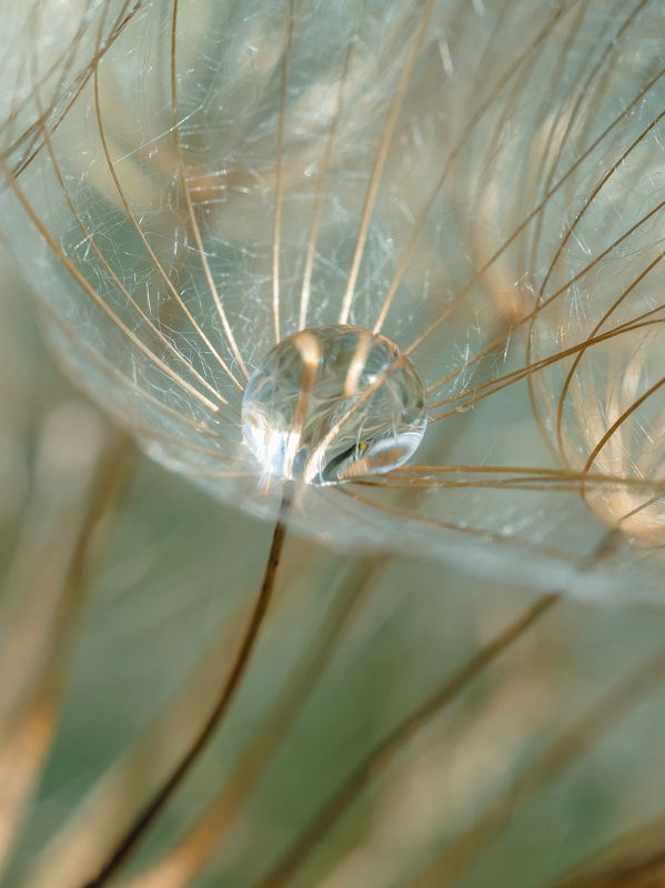 Драгоценность фото превью