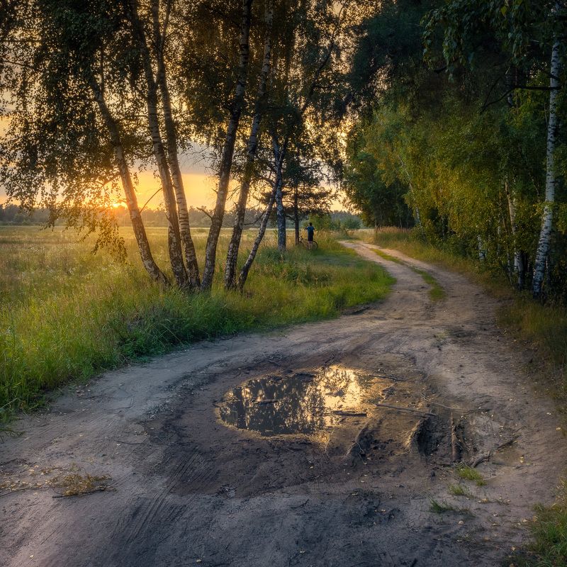 дождь, московская область, поле, закат, дорога, лес После дождя фото превью