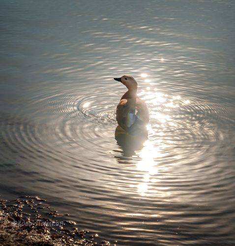 Яркие краски солнца
