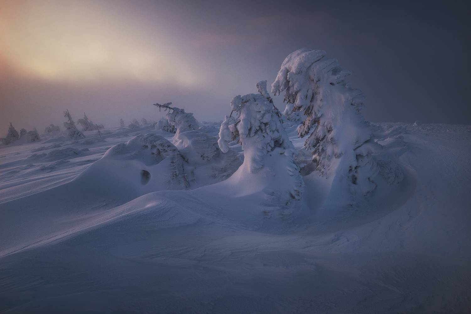 , Szabo Zsolt Andras