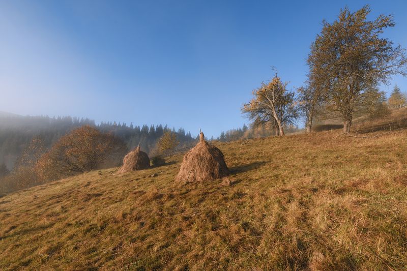 стожки, горы, луга  фото превью