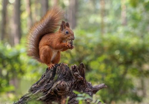 Когда еда в зубах застряла