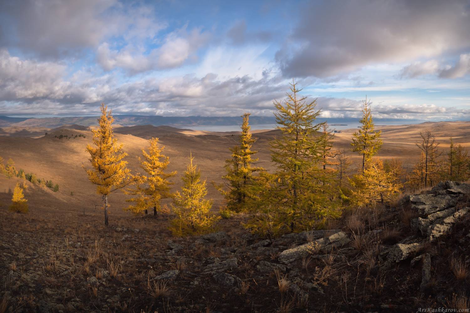 байкал, тажераны, ольхон, иркутская область, останцы, прибайкальский национальный парк, лиственница, золотая осень, Арсений Кашкаров