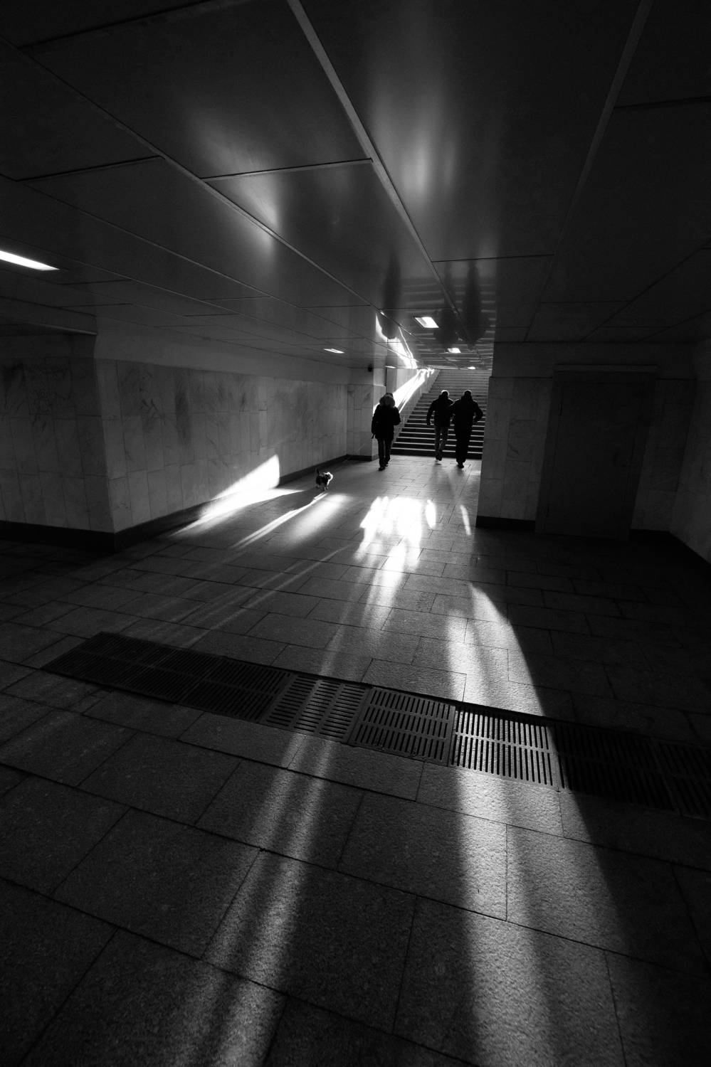 подземный переход, лестница, собачка, Дмитрий Ткаченко