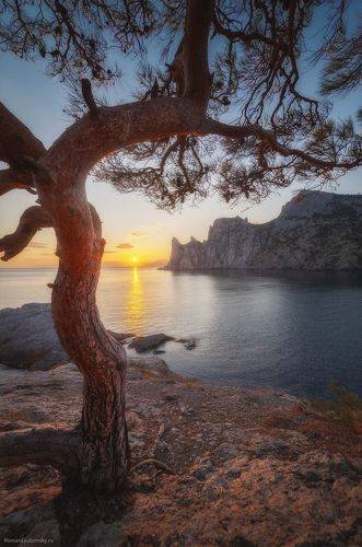 Осень в поселке Новый Свет