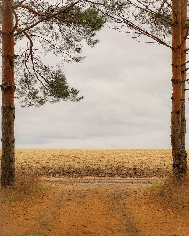 Ворота в осень фото превью