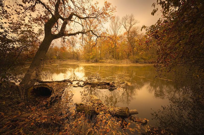Autumn фото превью