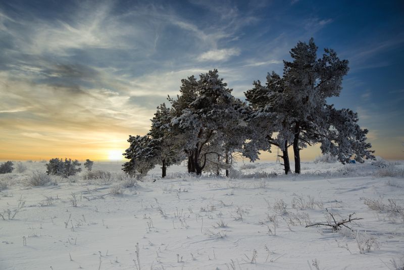 волгоград, пейзаж Лысая гора фото превью