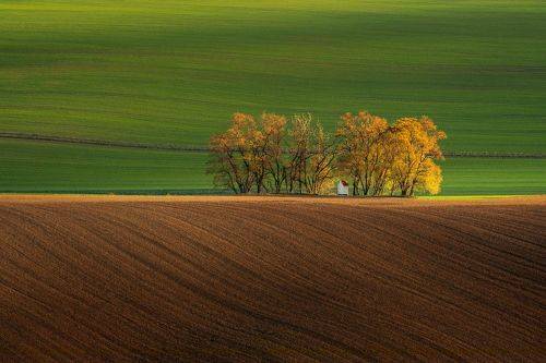 Autumn in Moravia