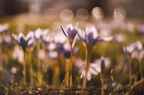 На исходе осенней жизни.