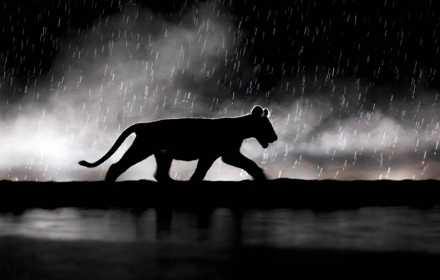 , Гудков Андрей