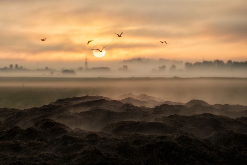 На рассвете фото превью