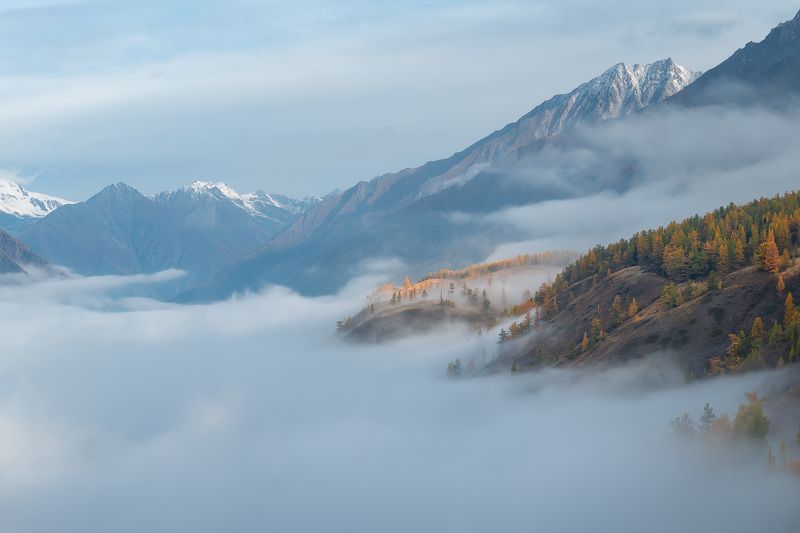 Туманное утро фото превью