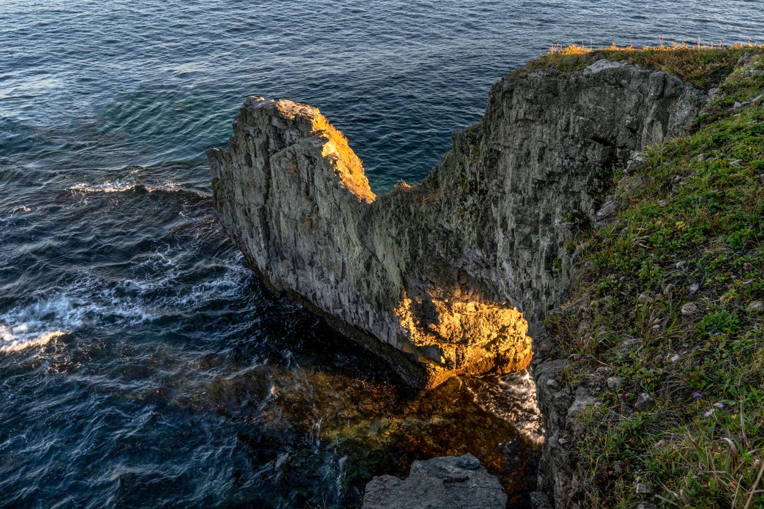 россия, приморский край, приморье, японское море, хасанский район, побережье славянки, пьющий верблюд, Юрий Гаврилов