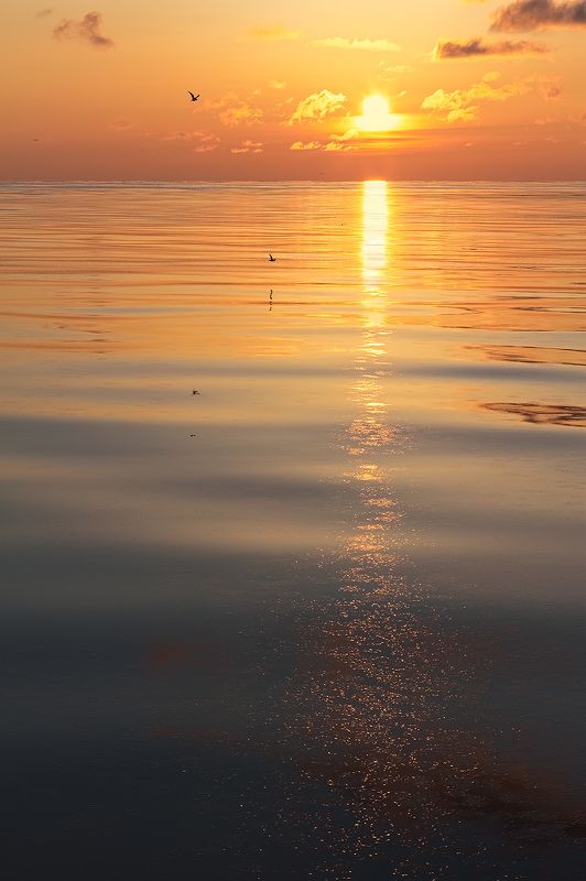 весна, рассвет, охотское море, отражения, штиль хвост кометы фото превью