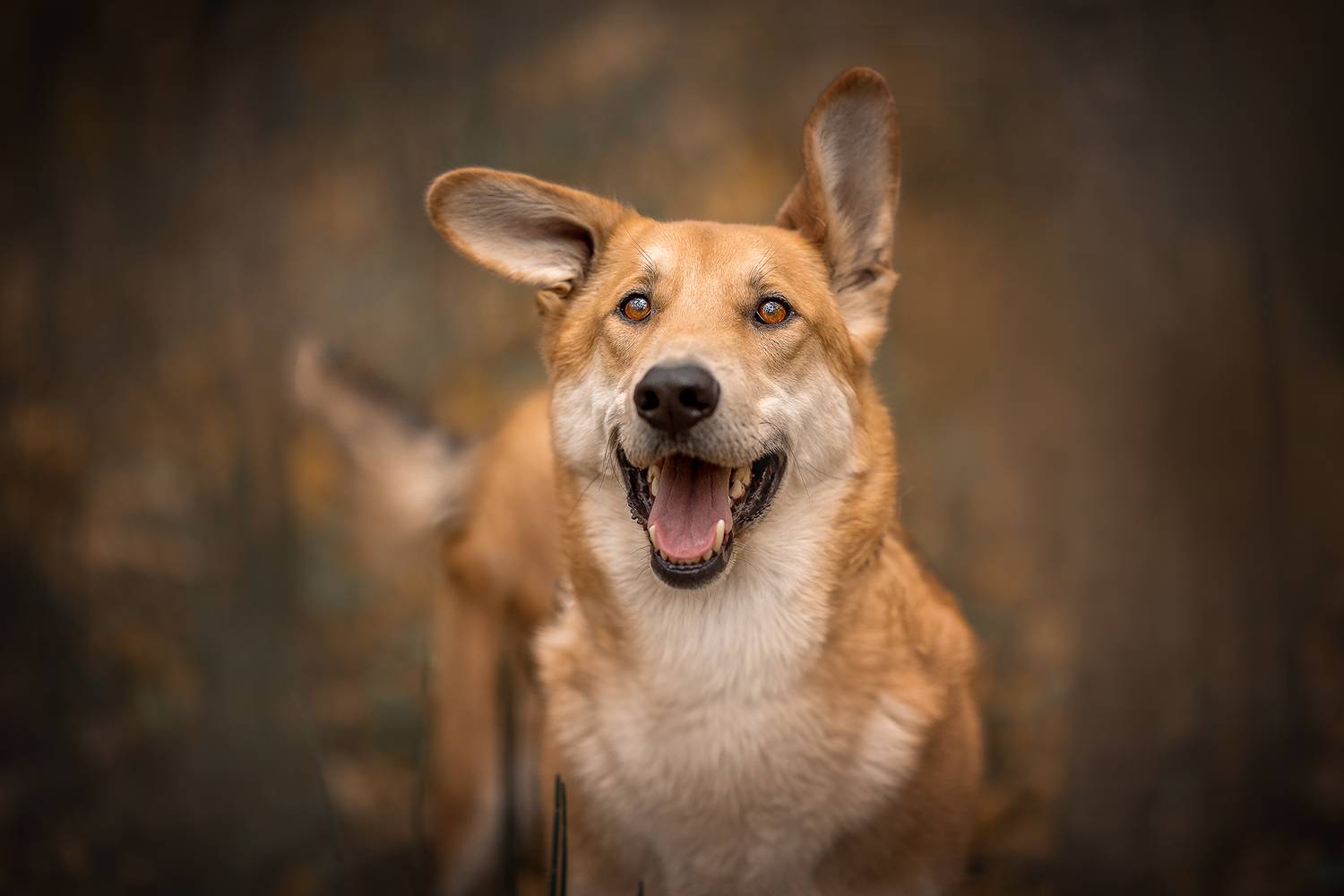 , Самусенкова Елена