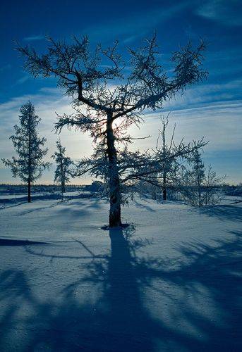 Зимний день