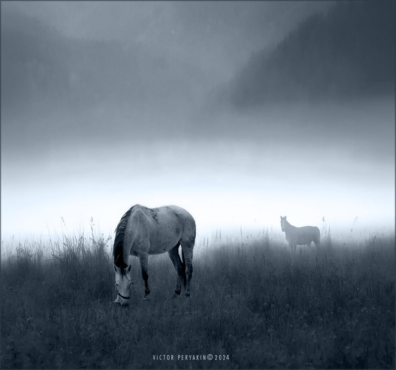В туманности Андромеды.... фото превью