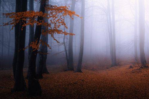 Autumn mood