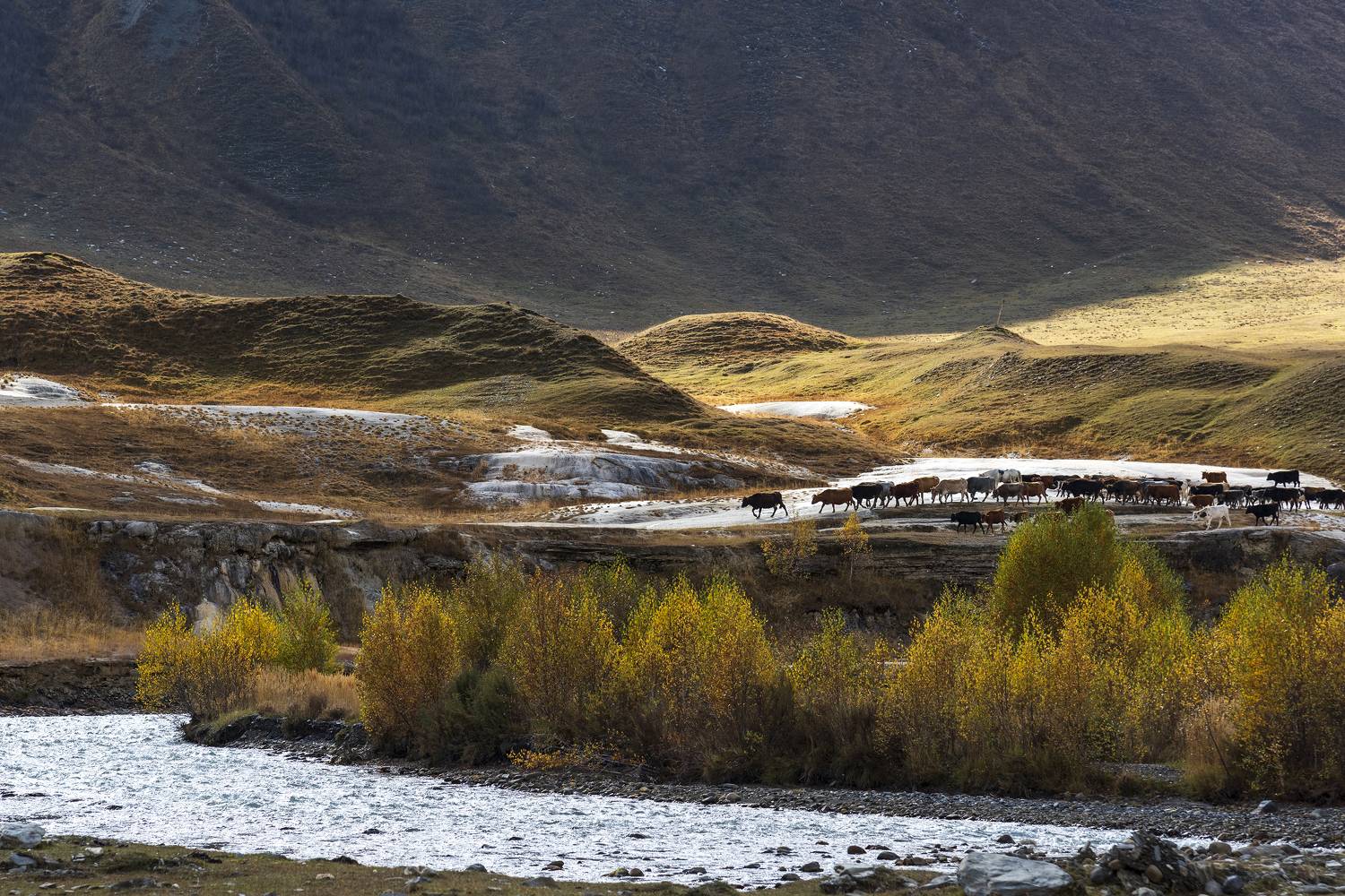 , Дмитрий Новоселов