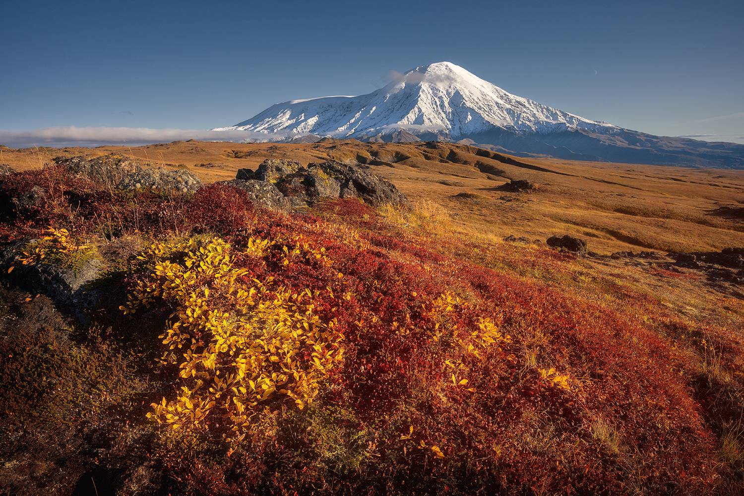 , Андрей Родионов