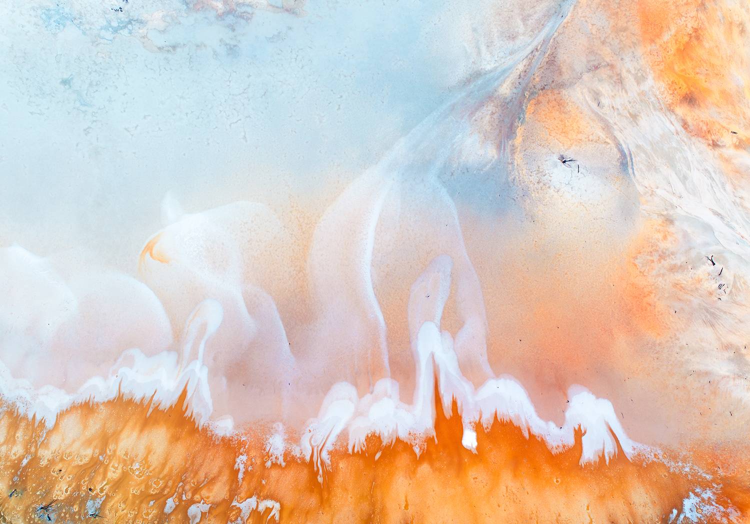 , Даниил Коржонов