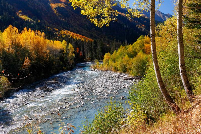 домбай, кчр, теберда, горы, гоначхир  фото превью