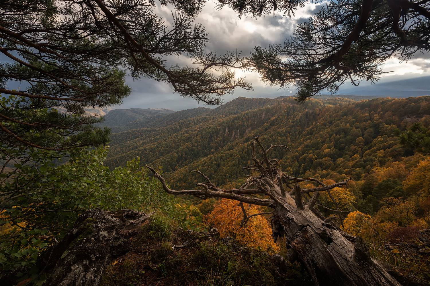 , Головченко Юрий