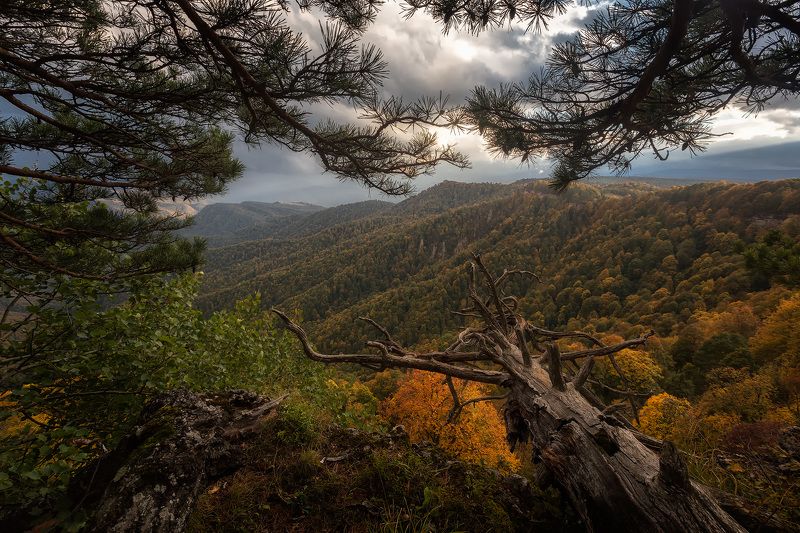 Окошко в осень фото превью