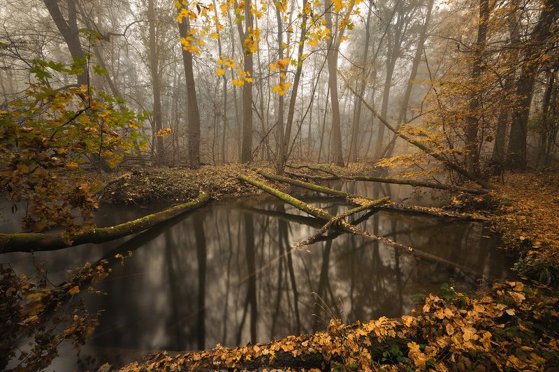 Autumn фото превью