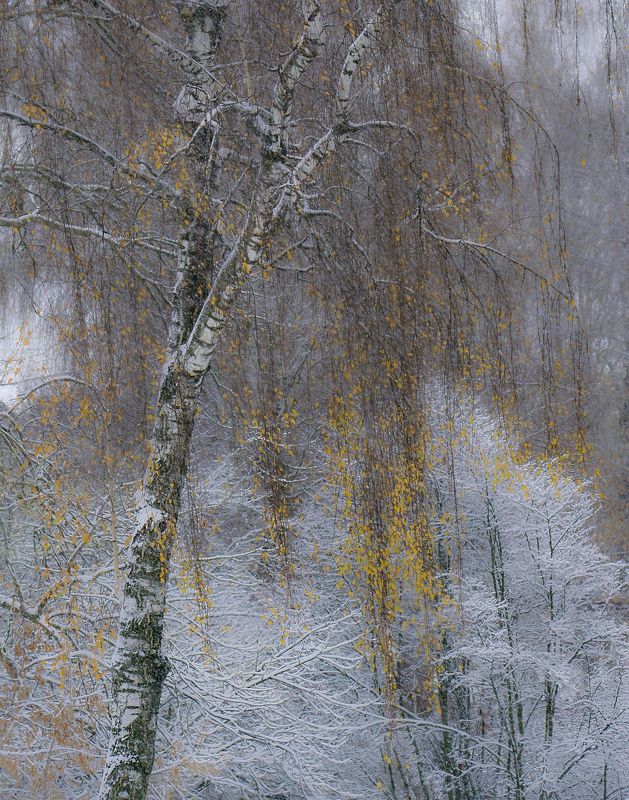 Дыхание зимы фото превью
