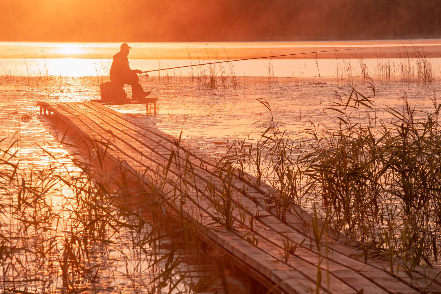 , Евдокимов Максим