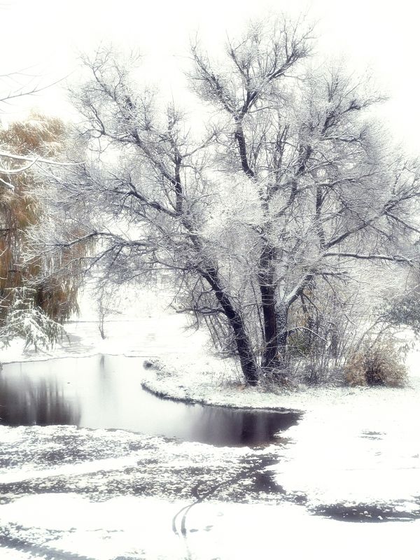 Вот и встретились Осень с Зимою.... фото превью