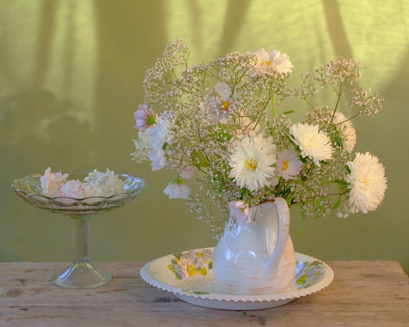 С астрами фото превью