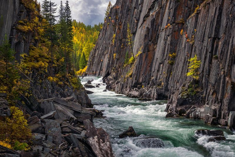 горный алтай,кош-агачский район,осень, река,берега,каньон В каньоне... фото превью