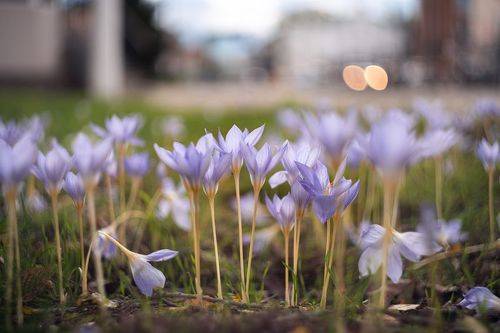 На исходе осеннего века.