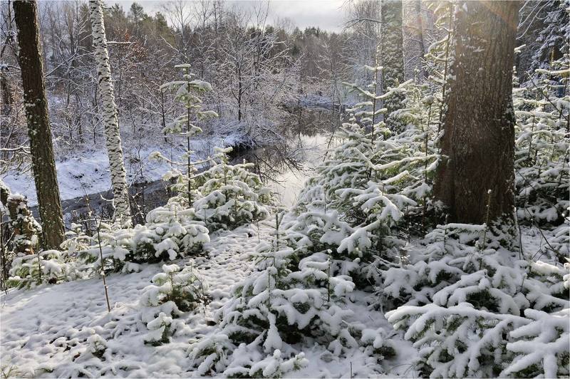Ноябрьская зима фото превью