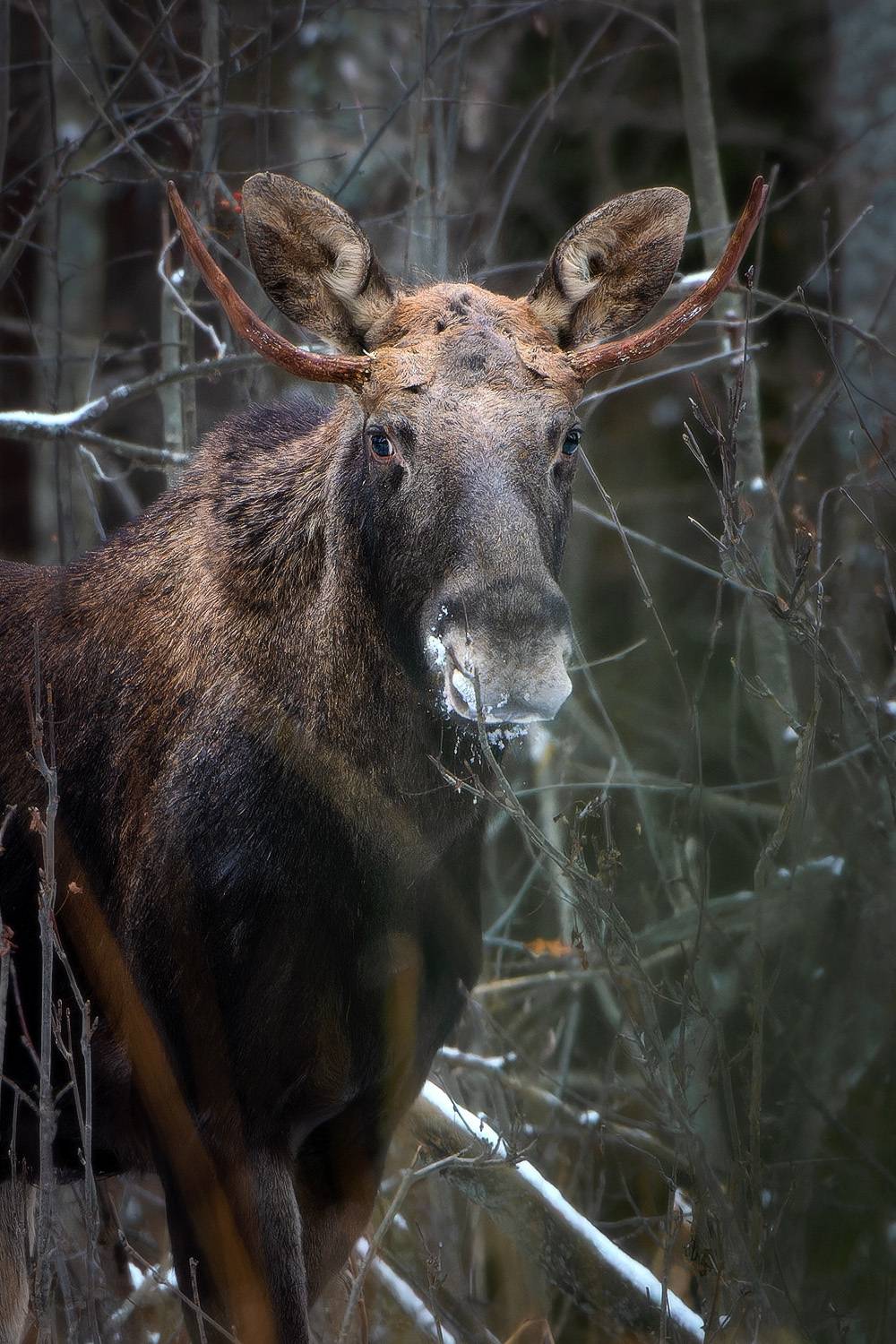 , Тябин Владислав