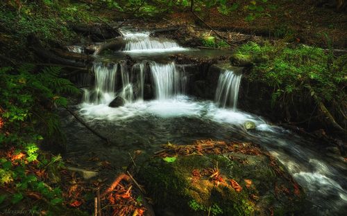 Ноябрьские каскады...
