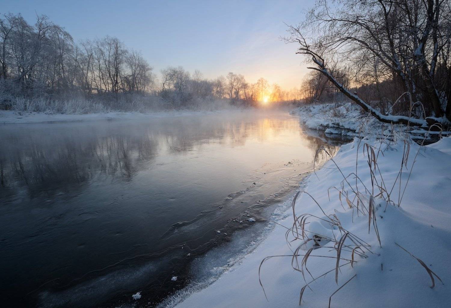 , Денис Сорокин