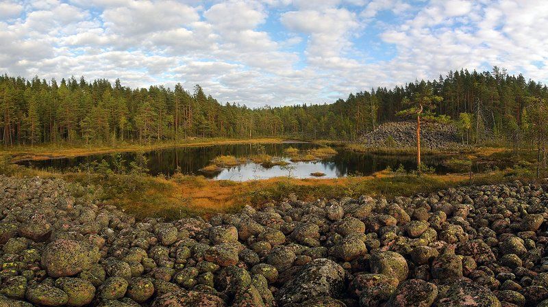 Озы фото превью