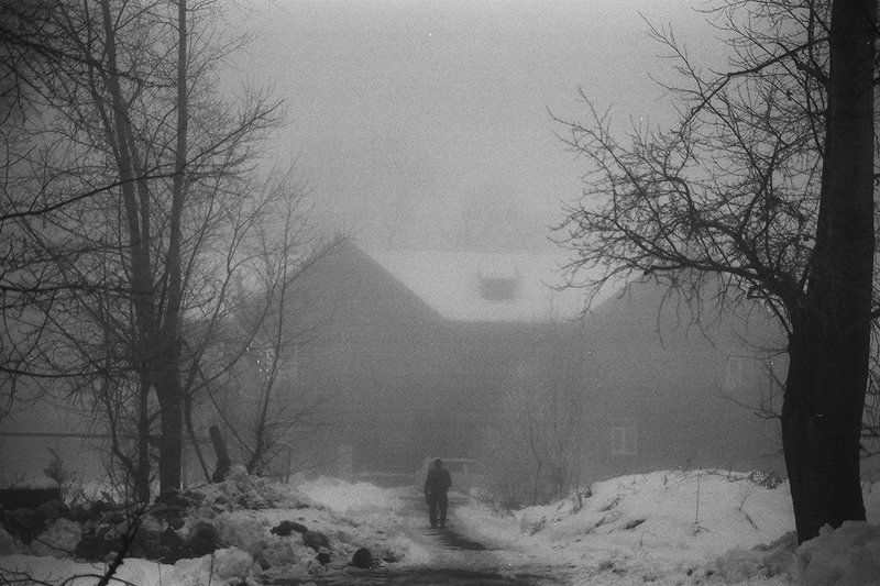 koshkinotime, dmitrysosna, b/w Утро фото превью