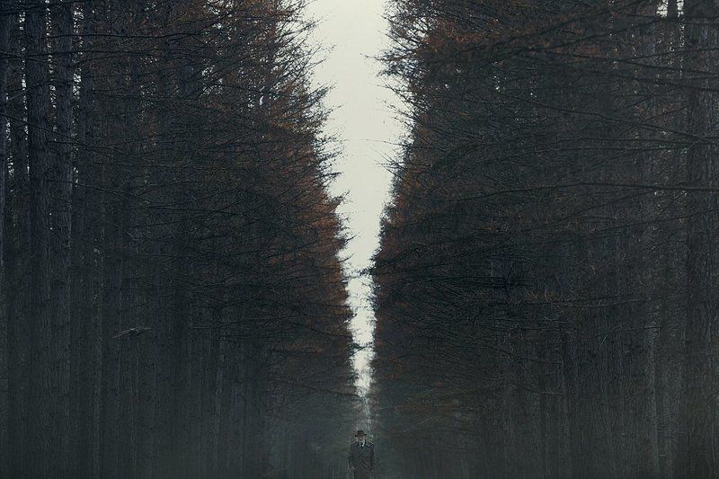 Незнакомец фото превью